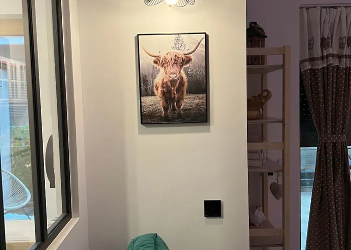 Apartment Summer Constanţa